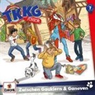TKKG Junior - Zwischen Gauklern und Ganoven, 1 Audio-CD (Hörbuch)