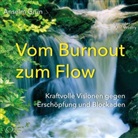 Grün Anselm, Axel Wostry - Vom Burnout zum Flow, 4 Audio-CDs (Audio book)