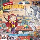Ulrike Rogler, Simone Veenstra - Der kleine Hui Buh 11 /Das verwickelte Klassenzimmer / Freitag, der 13., 1 Audio-CD (Audio book)