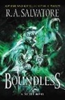 R. A. Salvatore - Boundless