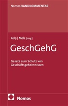 Bernhard Ulrici, Ulla Kelp, Mels, Philipp Mels, Bernhar Ulrici, Bernhard Ulrici - Gesetz zum Schutz von Geschäftsgeheimnissen: GeschGehG