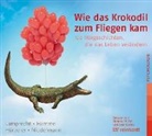 Stefa Hammel, Stefan Hammel, Adri Hürzeler, Adrian Hürzeler, Katharin Lamprecht, Katharina Lamprecht... - Wie das Krokodil zum Fliegen kam, 1 Audio-CD (Hörbuch)