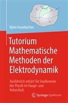 Björn Feuerbacher, Kristin Riebe, Wolfgang Zettlmeier - Tutorium Mathematische Methoden der Elektrodynamik