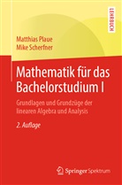 Matthia Plaue, Matthias Plaue, Mike Scherfner - Mathematik für das Bachelorstudium I