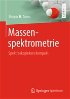 Jürgen H Gross, Jürgen H. Gross - Massenspektrometrie