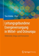 Tin Schütte, Tino Schütte - Leitungsgebundene Energieversorgung in Mittel- und Osteuropa