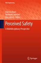 Eva Lermer, Martina Raue, Bernd Streicher, Bernhar Streicher, Bernhard Streicher - Perceived Safety