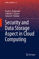 Prachi Deshpande, Prachi S Deshpande, Prachi S. Deshpande, Sat Peddoju, Sateesh K. Peddoju, Subhash Sharma... - Security and Data Storage Aspect in Cloud Computing