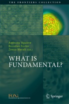 Anthony Aguirre, Brenda Foster, Brendan Foster, Zeeya Merali - What is Fundamental?