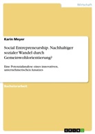 Karin Meyer - Social Entrepreneurship. Nachhaltiger sozialer Wandel durch Gemeinwohlorientierung?