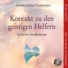 Andrea Dinkel-Tischendorf - Kontakt zu den geistigen Helfern, Audio-CD (Audio book)