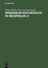 Hans-Joachim Rumpf, Helmut Wörle - Ingenieur-Mathematik in Beispielen 2