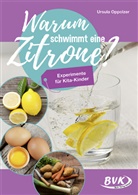 Ursula Oppolzer, Vera Oppolzer - Warum schwimmt eine Zitrone?