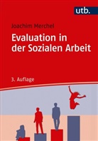 Joachim Merchel, Joachim (Prof. Dr.) Merchel - Evaluation in der Sozialen Arbeit