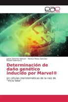 Monic Pérez Sánchez, Monica Pérez Sánchez, Juan Sánchez-Alarcón, Juana Sánchez-Alarcón, Valen, Rafael Valencia-Q. - Determinación de daño genético inducido por Marvel®
