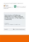 Mengting Li - Optimization of Multistage Hydraulic Fracturing Treatment for Maximization of the Tight Gas Productivity (Band 58)