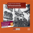 Hans Pleschinski, Bodo Krumwiede - Wiesenstein, 3 MP3-CDs (Livre audio)