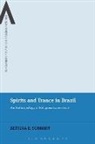 Bettina E Schmidt, Bettina E. Schmidt, James Cox, Steven Sutcliffe, William Sweetman - Spirits and Trance in Brazil