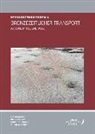 Martin Bartelheim, Bianka Nessel, Daniel Neumann - Bronzezeitlicher Transport