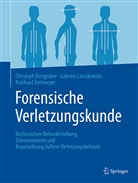 Christop Birngruber, Christoph Birngruber, Christoph G Birngruber, Christoph G. Birngruber, Dett, Dettme... - Forensische Verletzungskunde