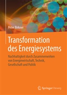 Peter Birkner - Transformation des Energiesystems