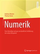Andrea Meister, Andreas Meister, Thomas Sonar - Numerik