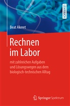 Beat Akeret - Rechnen im Labor