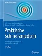 Ralf Baron, Wolfgang Koppert, Wolfgan Koppert (Prof. Dr.), Wolfgang Koppert (Prof. Dr.), Michael Strumpf, Michael Strumpf u a... - Praktische Schmerzmedizin: Praktische Schmerzmedizin