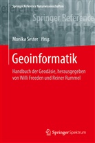 Willi Freeden, Reiner Rummel, Monik Sester, Monika Sester - Handbuch der Geodäsie: Geoinformatik