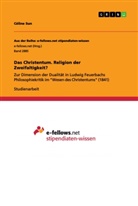 Céline Sun - Das Christentum. Religion der Zweifaltigkeit?