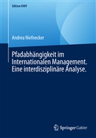 Andrea Niefnecker - Pfadabhängigkeit im Internationalen Management. Eine interdisziplinäre Analyse.