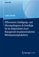 Guido Schmidt - Differenzierte Schädigungs- und Alterungsdiagnose als Grundlage für ein zielgerichtetes Asset-Management im polymerisolierten Mittelspannungskabelnetz