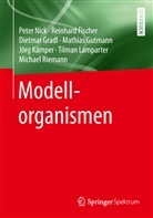 Reinhar Fischer, Reinhard Fischer, Dietmar Gradl, Dietmar u a Gradl, Mathias Gutmann, Jörg Kämper... - Modellorganismen