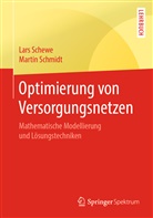 Lar Schewe, Lars Schewe, Martin Schmidt - Optimierung von Versorgungsnetzen