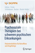 Thomas Becker, Rut Fricke, Ruth Fricke, Ut Gühne, Uta Gühne, Steffi Riedel-Heller... - Psychosoziale Therapien bei schweren psychischen Erkrankungen
