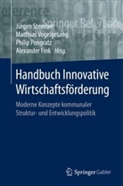 Alexander Fink, Philip Pongratz, Philip Pongratz u a, Jürgen Stember, Matthia Vogelgesang, Matthias Vogelgesang... - Handbuch Innovative Wirtschaftsförderung