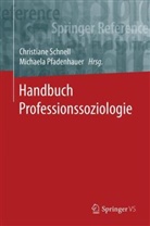 Pfadenhauer, Pfadenhauer, Michaela Pfadenhauer, Christian Schnell, Christiane Schnell - Handbuch Professionssoziologie