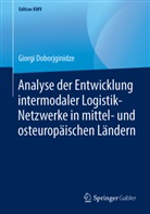 Giorgi Doborjginidze - Analyse der Entwicklung intermodaler Logistik-Netzwerke in mittel- und osteuropäischen Ländern