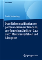 Daniel Stoltenberg - Oberflächenmodifikation von porösen Gläsern zur Trennung von Gemischen ähnlicher Gase durch Membranverfahren und Adsorption