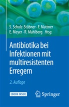 Rolf Mahlberg, Frauk Mattner, Frauke Mattner, Elisabeth Meyer, Elisabeth Meyer u a, Sebastian Schulz-Stübner - Antibiotika bei Infektionen mit multiresistenten Erregern