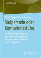 Rudol Egger, Rudolf Egger, Sandra Hummel - Stolperstein oder Kompetenzstufe?