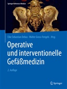 E. Sebastian Debus, Eike Sebastian Debus, Gross-Fengels, Gross-Fengels, Walter Gross-Fengels, Sebastian Debus... - Operative und interventionelle Gefäßmedizin: Operative und interventionelle Gefäßmedizin, 2 Bde.