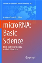 Gaetan Santulli, Gaetano Santulli - microRNA: Basic Science