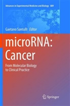 Gaetan Santulli, Gaetano Santulli - microRNA: Cancer