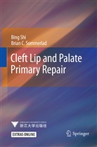 Bin Shi, Bing Shi, Brian C Sommerlad, Brian C. Sommerlad - Cleft Lip and Palate Primary Repair