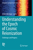 Andre Mesinger, Andrei Mesinger - Understanding the Epoch of Cosmic Reionization
