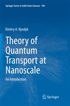 Dmitry Ryndyk - Theory of Quantum Transport at Nanoscale