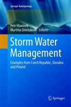 Pet Hlavínek, Petr Hlavínek, Zelenáková, Zelenáková, Martina Zelenáková, Martina Zeleňáková - Storm Water Management