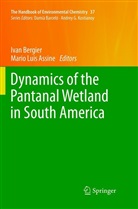 Mario Luis Assine, Iva Bergier, Ivan Bergier, Luis Assine, Luis Assine - The Handbook of Environmental Chemistry - 37: Dynamics of the Pantanal Wetland in South America