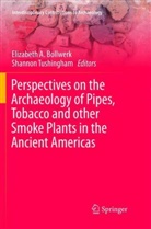 Elizabet Anne Bollwerk, Elizabeth Anne Bollwerk, Elizabeth Anne Bollwerk, Tushingham, Tushingham, Shannon Tushingham - Perspectives on the Archaeology of Pipes, Tobacco and other Smoke Plants in the Ancient Americas